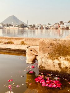 Offrandes de pooja ( cérémonie) sur le lac sacré de Pushkar, Rajasthan, Inde